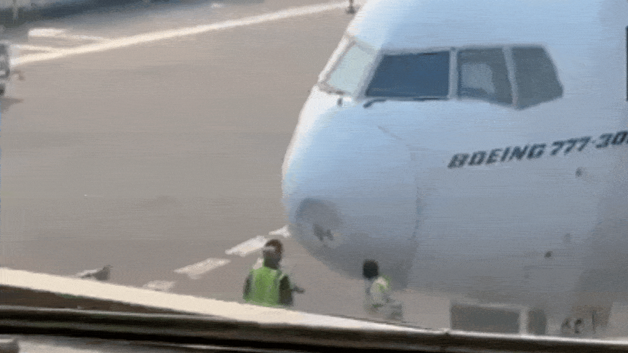 Emirates Flight Delayed Following Bird Strike Incident in New Delhi
