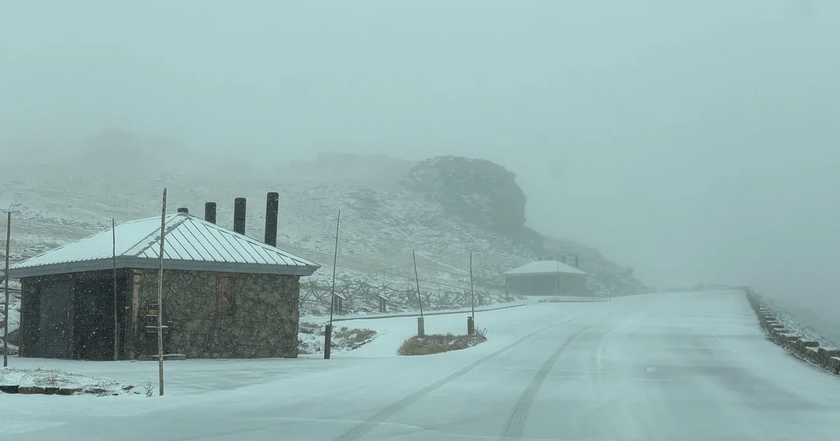 Denver Prepares for Freeze Warning Amid Mountain Snow and Cold