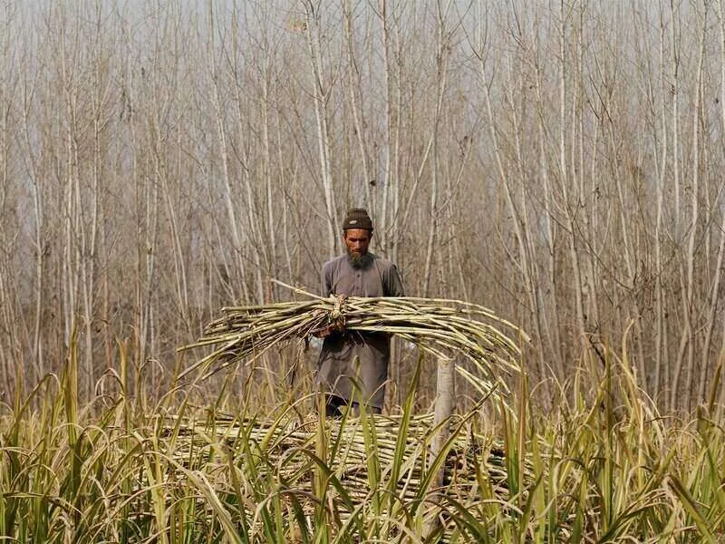 पाकिस्तान में किसान देशव्यापी प्रदर्शन की तैयारी में जुटे
