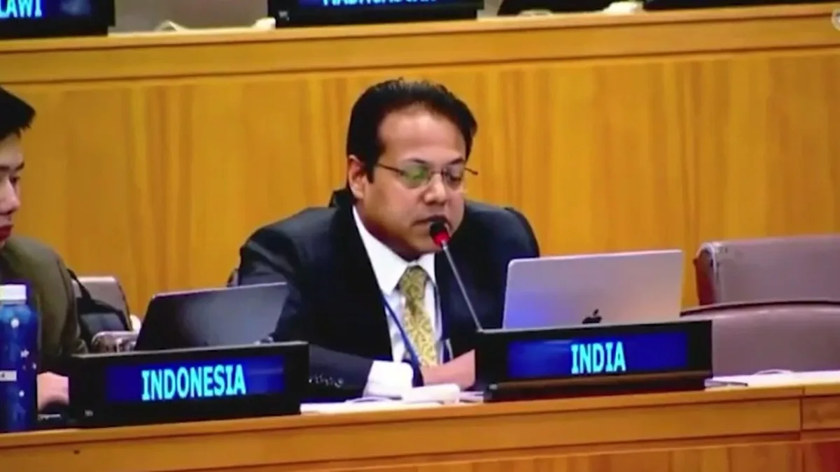 संयुक्त राष्ट्र में भारत ने कॉकरोच जनता पार्टी प्रदर्शन रिपोर्ट पर दिया कड़ा जवाब